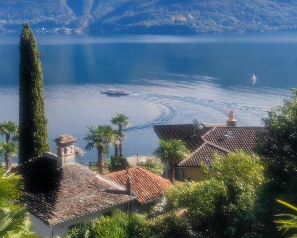 Residence Venus Garden Brissago Exterior foto