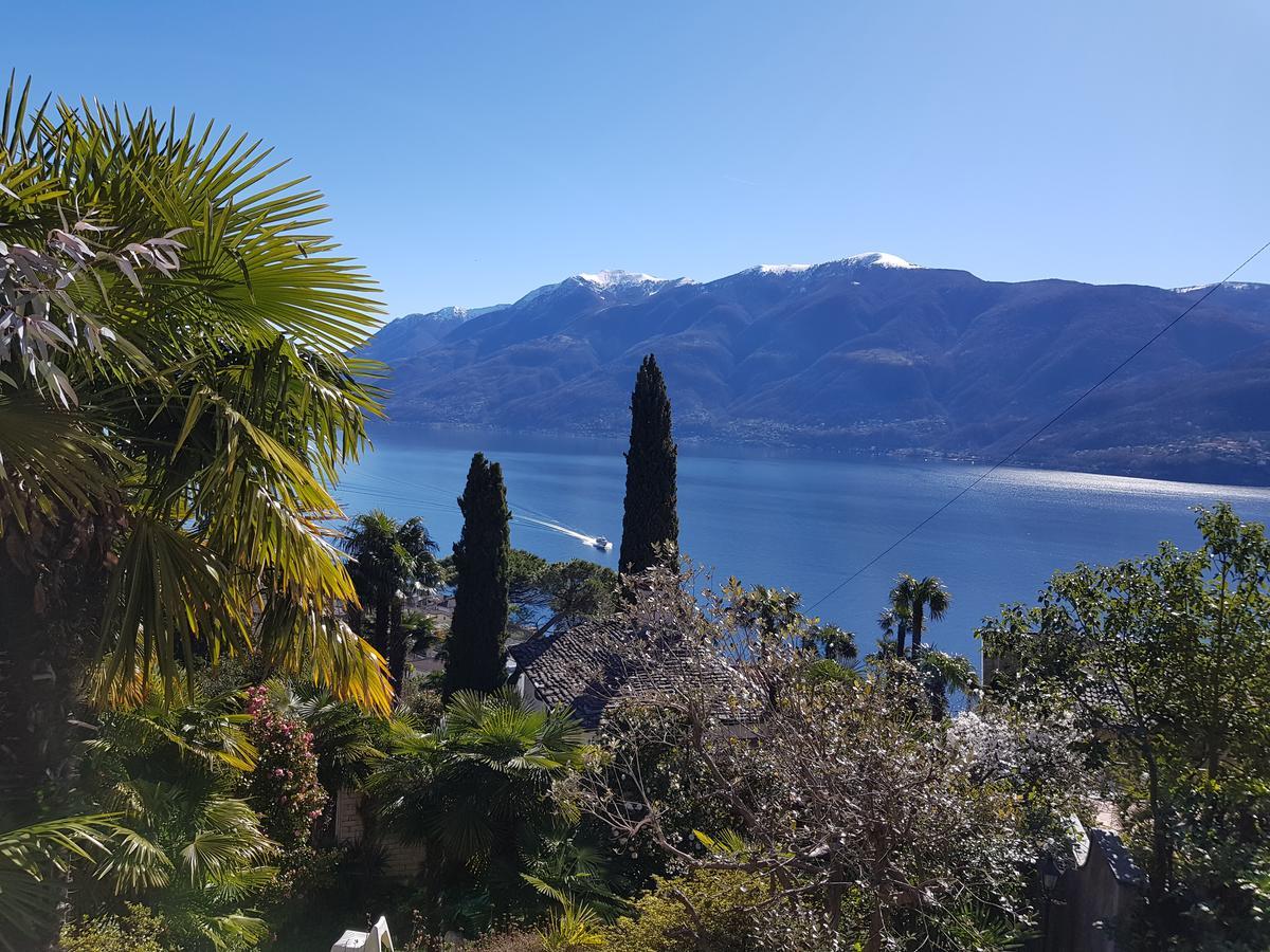 Residence Venus Garden Brissago Exterior foto
